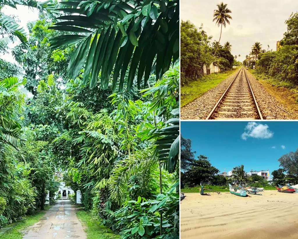 Green, lush nature and beautiful sandy beaches in Weligama.